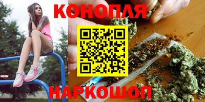 стафф Новозыбков