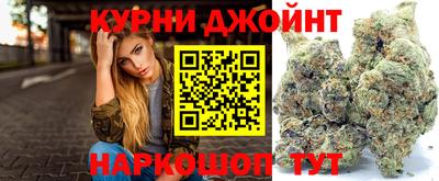 шишки Новокубанск