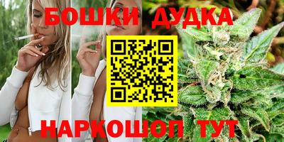 стафф Новозыбков