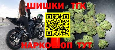 стафф Новозыбков