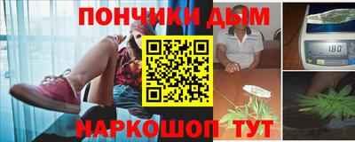 шишки Новокубанск