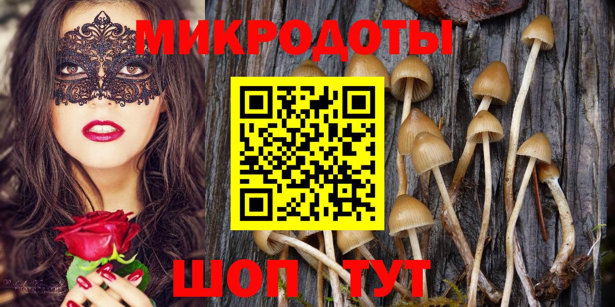 Псилоцибиновые грибы прущие грибы Семёнов